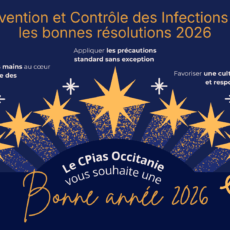 Bonne année 2026 !