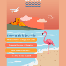 1ère Annonce Journée Régionale de Prévention  des Infections Associées aux Soins à Gruissan